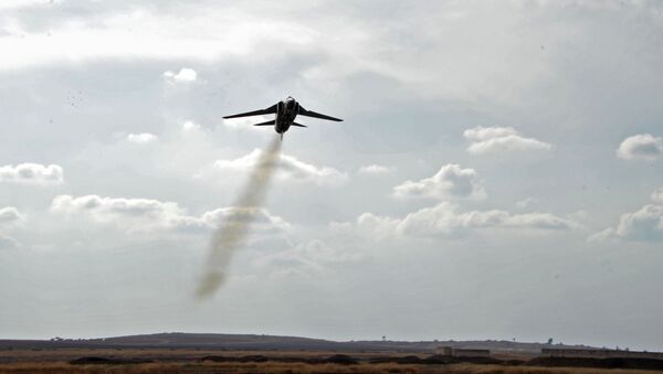 美国领导的反恐联盟拦截两架叙利亚战斗机 - 俄罗斯卫星通讯社