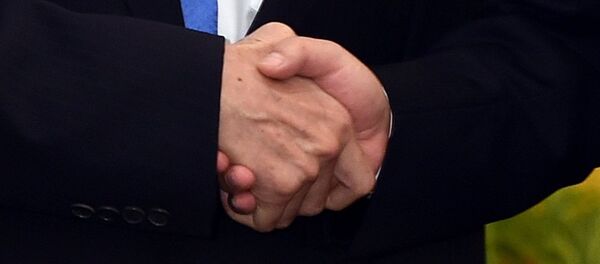 习马会晤把两岸关系提升到新的高度 - 俄罗斯卫星通讯社