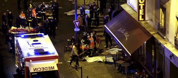 巴黎 - 俄罗斯卫星通讯社