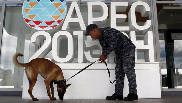 APEC 2015 - 俄罗斯卫星通讯社