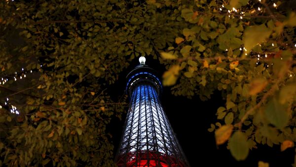 Телебашня в Токио в цветах флага Франции - 俄罗斯卫星通讯社