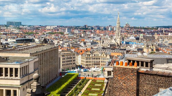 布鲁塞尔 - 俄罗斯卫星通讯社