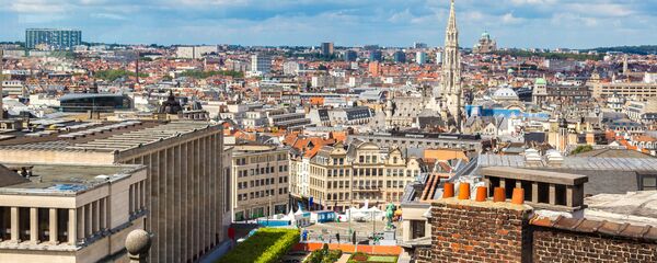 布鲁塞尔 布鲁塞尔 - 俄罗斯卫星通讯社