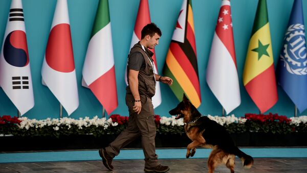 媒體：護衛漢堡G20峰會外國代表團的工作人員將可持有武器 - 俄羅斯衛星通訊社