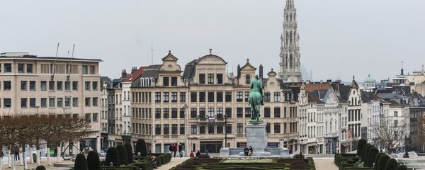 布魯塞爾 - 俄羅斯衛星通訊社