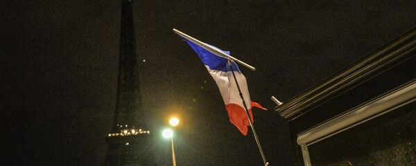 埃菲尔铁塔 埃菲尔铁塔 - 俄罗斯卫星通讯社