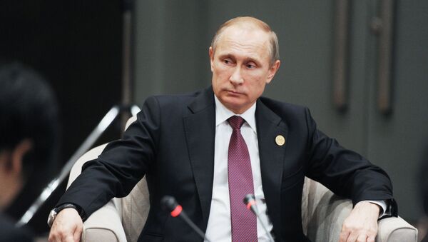 普京希望與G20同仁在打擊恐怖主義領域的工作將繼續下去 - 俄羅斯衛星通訊社