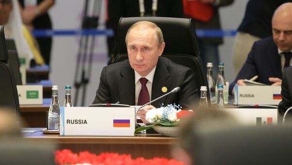 Президент России Владимир Путин на саммите G20 в Турции - 俄羅斯衛星通訊社