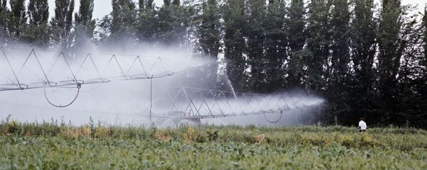 Полив свеклы Полив свеклы - 俄羅斯衛星通訊社