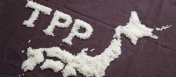 TPP - 俄羅斯衛星通訊社