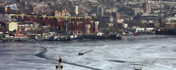 绥芬河市将加强与俄罗斯符拉迪沃斯托克港对接合作 - 俄罗斯卫星通讯社