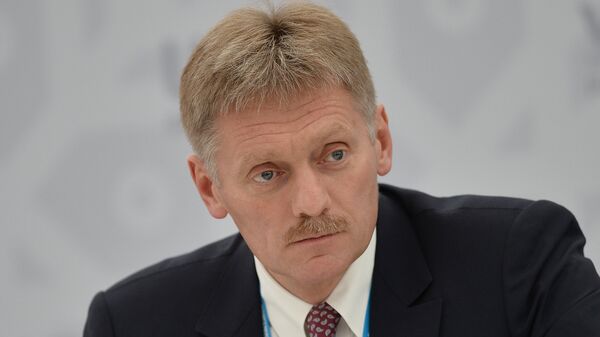 俄总统新闻秘书：俄美领导人赞成推动叙利亚政治调解进程 - 俄罗斯卫星通讯社