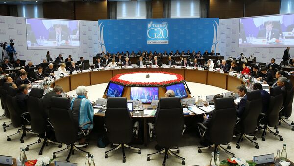 俄G20协调员：G20领导人热情接受俄方的乌债务重组计划 - 俄罗斯卫星通讯社