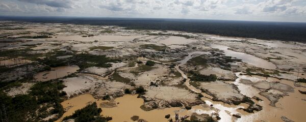 亚马孙流域地区的森林砍伐 - 俄罗斯卫星通讯社