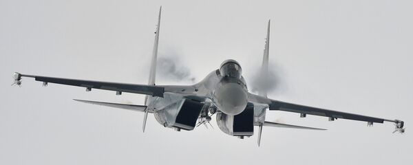 蘇-35 - 俄羅斯衛星通訊社