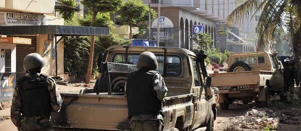 馬里 - 俄羅斯衛星通訊社