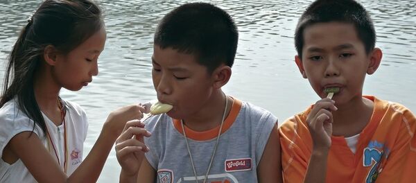 俄羅斯冰淇淋 俄羅斯冰淇淋 - 俄羅斯衛星通訊社