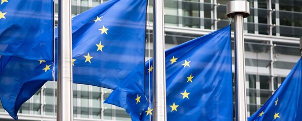 消息人士：欧盟非正式峰会上或提出建统一军队问题但不会做决定 - 俄罗斯卫星通讯社