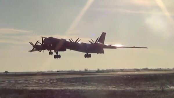 俄軍事專家：X-101導彈打擊敘武裝分子證實圖95轟炸機改型成功 - 俄羅斯衛星通訊社