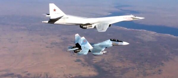 阿萨德：俄在叙行动是与全世界恐怖主义做合法斗争的典范 - 俄罗斯卫星通讯社