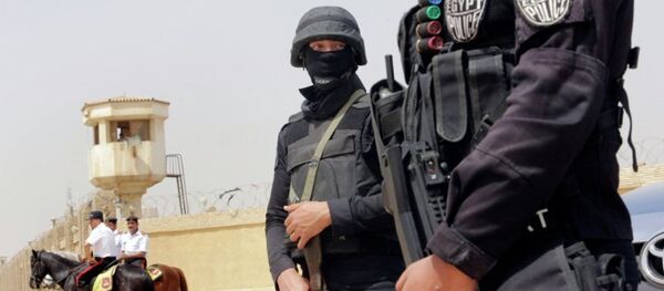 埃及警察 埃及警察 - 俄羅斯衛星通訊社