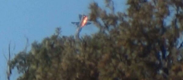 俄羅斯一架蘇-24戰機 - 俄羅斯衛星通訊社