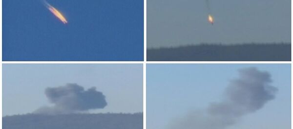 消息人士：土耳其警方证实已逮捕杀害俄飞行员的凶嫌 - 俄罗斯卫星通讯社