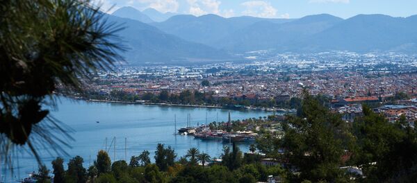 俄土通航一旦停止 土耳其將損失40億美元 - 俄羅斯衛星通訊社