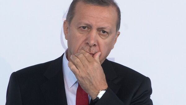 土耳其總統：土耳其未向“伊斯蘭國”購買石油 - 俄羅斯衛星通訊社