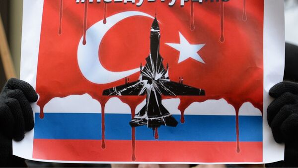 土耳其社交網絡用戶對蘇-24事件表示氣憤 - 俄羅斯衛星通訊社