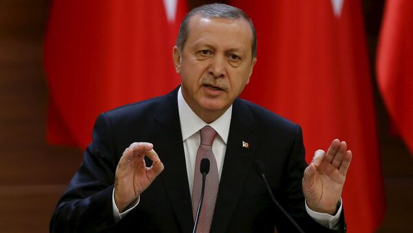 土耳其总统：土方不会就苏-24事件道歉 - 俄罗斯卫星通讯社