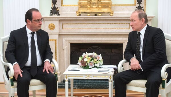 Президент РФ В.Путин встретился с президентом Франции Франсуа Олландом - 俄罗斯卫星通讯社
