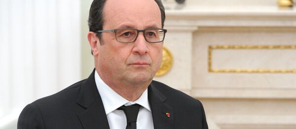 弹劾法国总统奥朗德的决议草案被提交行政机关 - 俄罗斯卫星通讯社