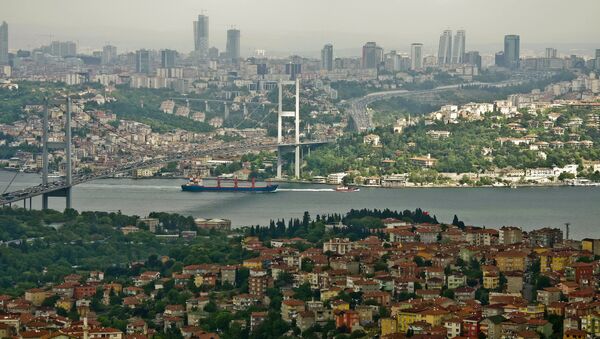 俄專家：土耳其無權關閉黑海海峽 - 俄羅斯衛星通訊社