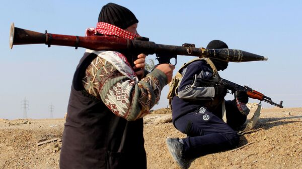 “达伊沙”有意将土耳其二省并入自己的“哈里发” - 俄罗斯卫星通讯社