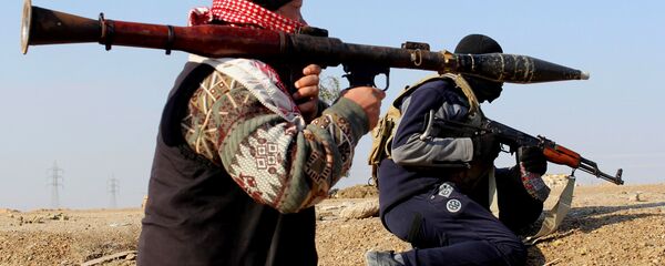 伊拉克 - 俄羅斯衛星通訊社