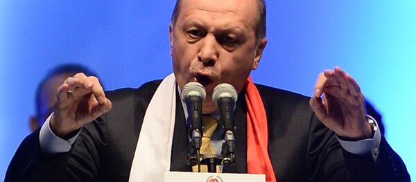 埃尔多安对俄苏-24战机事件感到难过并希望它不再发生 - 俄罗斯卫星通讯社