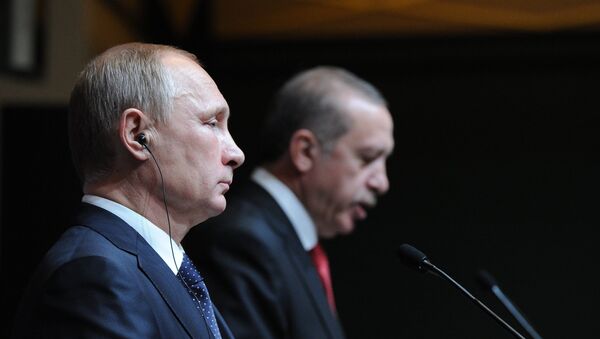 普京就土耳其恐襲事件向埃爾多安表示慰問 - 俄羅斯衛星通訊社