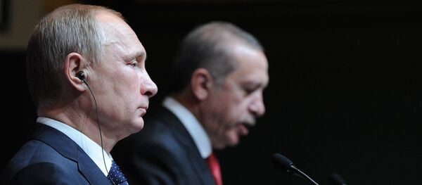 俄专家:俄土两国总统没有就土耳其军队在叙利亚境内的行动达成共识 俄专家:俄土两国总统没有就土耳其军队在叙利亚境内的行动达成共识 - 俄罗斯卫星通讯社