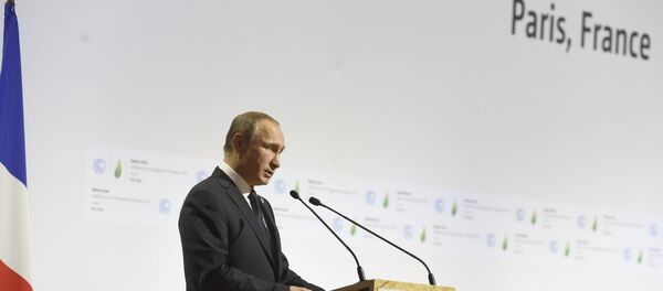 普京：俄方的努力令全球气候变暖的脚步拖后一年 - 俄罗斯卫星通讯社