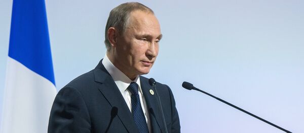 普京：俄方提议在联合国主持下召开资源消耗论坛 - 俄罗斯卫星通讯社