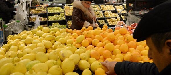 普京：俄方期待俄土双边贸易2017年就可得到改善 - 俄罗斯卫星通讯社