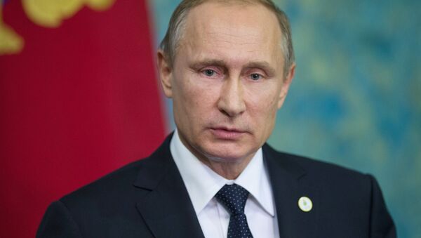 普京：俄蘇-24事件在巴黎所有雙邊會談期間被提起 - 俄羅斯衛星通訊社