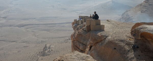 黎巴嫩真主党组织指责美国支持袭击叙利亚苏伟达的武装分子 - 俄罗斯卫星通讯社