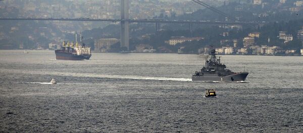 土耳其检察院要求判处2名披露秘密供武的记者终身监禁 - 俄罗斯卫星通讯社