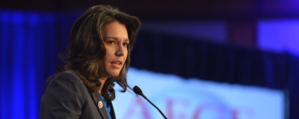 美议员向国会提交禁止退出《中导条约》的法律草案 美议员向国会提交禁止退出《中导条约》的法律草案 - 俄罗斯卫星通讯社