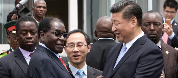 中國商務部：質疑對非合作真實意圖不符合中非關係現狀 - 俄羅斯衛星通訊社