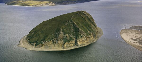 俄雅庫特與中國鐵建計劃修建跨勒拿河大橋 - 俄羅斯衛星通訊社