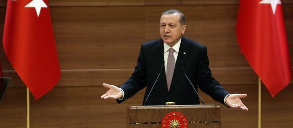 媒體：埃爾多安再越線 成不可靠夥伴 - 俄羅斯衛星通訊社