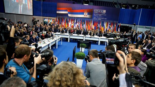 欧安组织采取决议，通过俄罗斯所提出的与恐怖主义斗争宣言 - 俄罗斯卫星通讯社